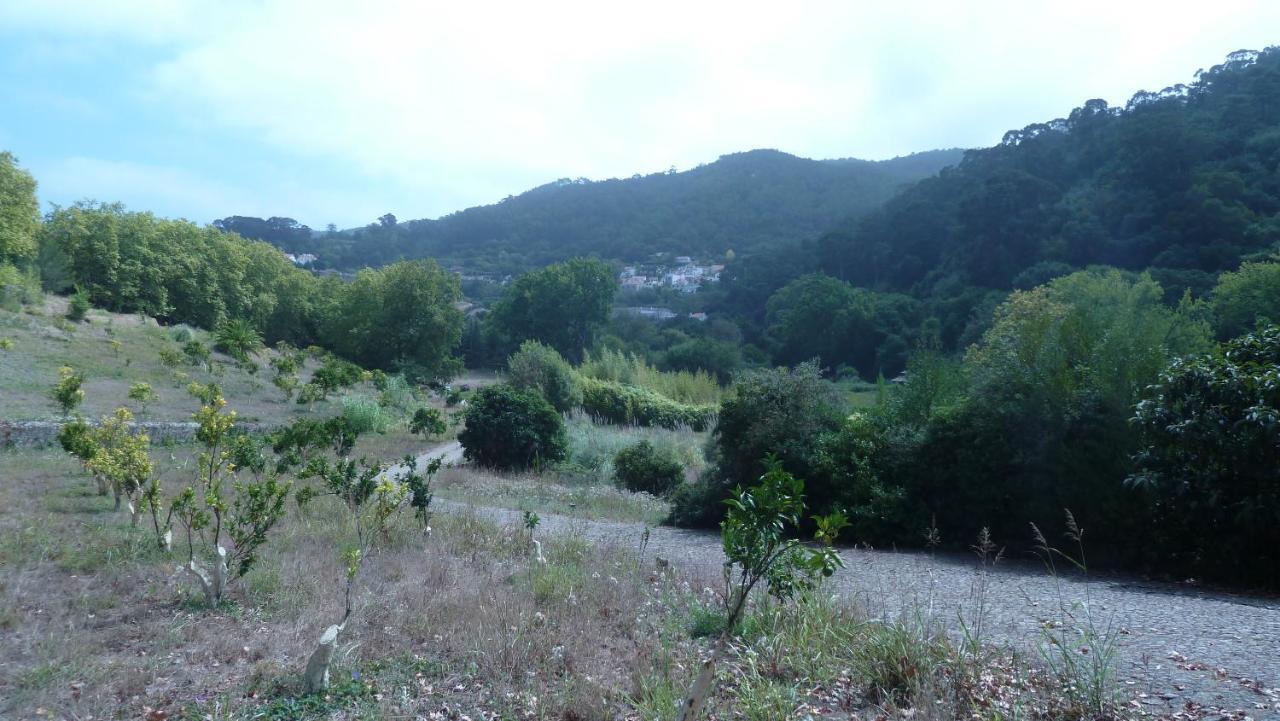 Ribeira Dos Marinheiros Vermelho Sintra Dış mekan fotoğraf